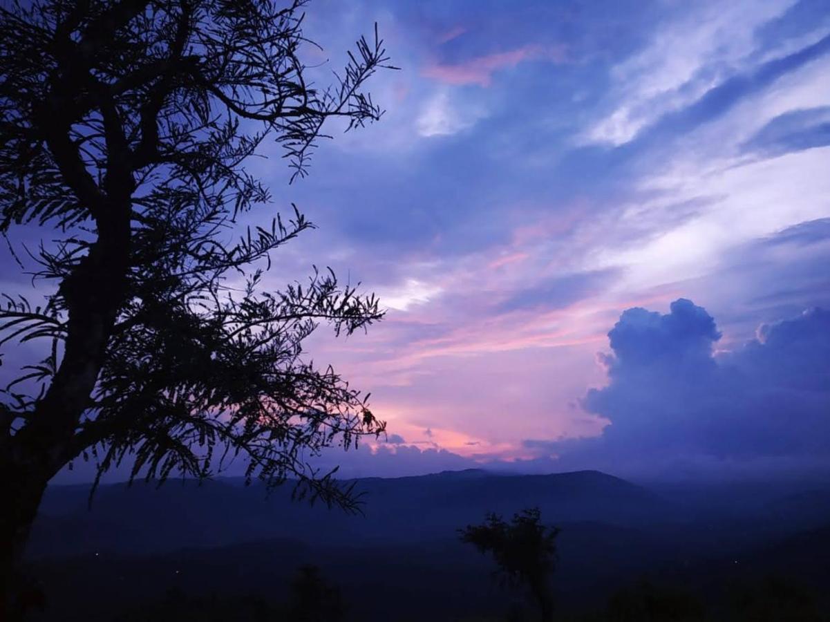 Peakaavu Cottages Idukki Buitenkant foto
