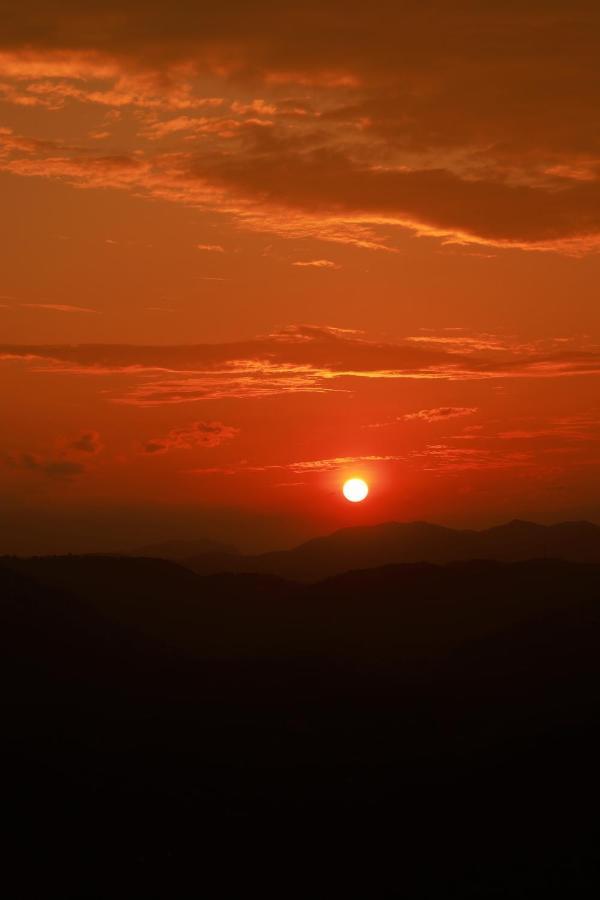 Peakaavu Cottages Idukki Buitenkant foto
